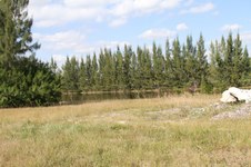 Enlarge photo 27