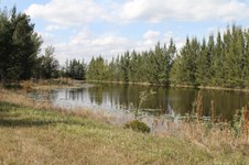 Enlarge photo 32