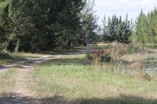 Enlarge photo 31