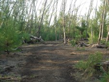 Enlarge photo 21