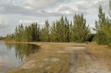 Enlarge photo 36