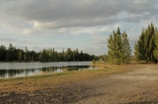 Enlarge photo 37