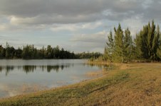 Enlarge photo 38
