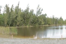 Enlarge photo 34
