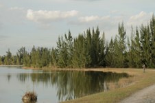 Enlarge photo 35