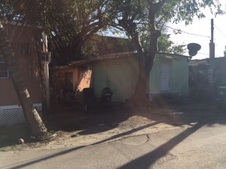 Enlarge photo 63