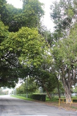 Enlarge photo 3