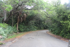 Enlarge photo 14