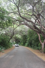 Enlarge photo 15