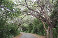Enlarge photo 16
