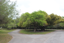 Enlarge photo 26