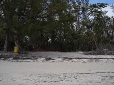 Enlarge photo 19