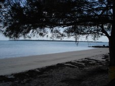 Enlarge photo 26