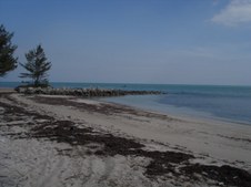 Enlarge photo 29