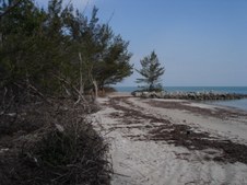 Enlarge photo 30