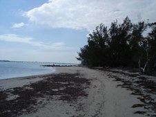 Enlarge photo 31