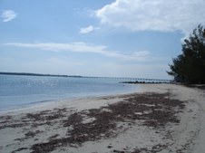 Enlarge photo 33
