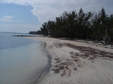 Enlarge photo 34