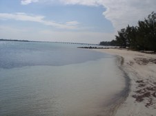 Enlarge photo 35