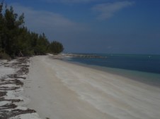 Enlarge photo 38