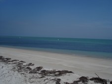 Enlarge photo 40