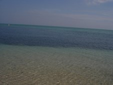 Enlarge photo 41