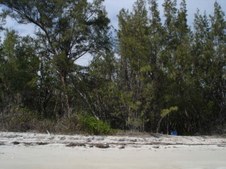 Enlarge photo 42