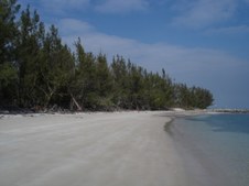 Enlarge photo 43
