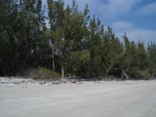 Enlarge photo 44
