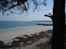 Enlarge photo 45