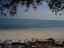 Enlarge photo 46