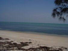 Enlarge photo 47