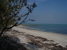 Enlarge photo 48