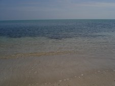 Enlarge photo 49