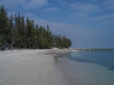 Enlarge photo 51
