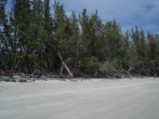 Enlarge photo 52