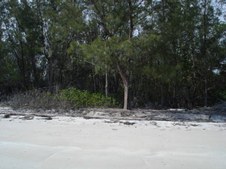Enlarge photo 53