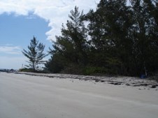 Enlarge photo 54