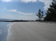 Enlarge photo 55