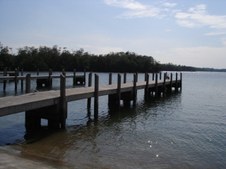 Enlarge photo 61