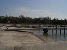 Enlarge photo 62