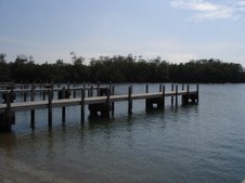 Enlarge photo 63