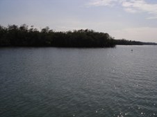 Enlarge photo 64