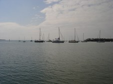 Enlarge photo 65