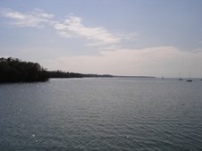 Enlarge photo 66