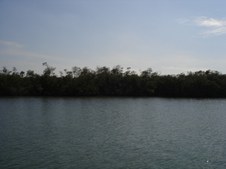 Enlarge photo 67
