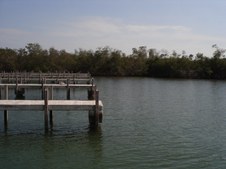 Enlarge photo 68