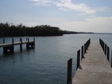 Enlarge photo 71