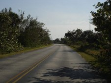 Enlarge photo 73