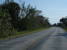 Enlarge photo 74
